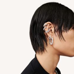 Dextera hoop earrings 9