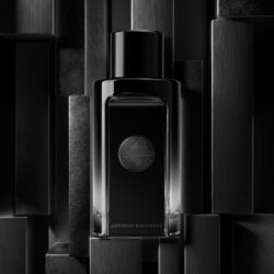 The Icon The Parfume 6